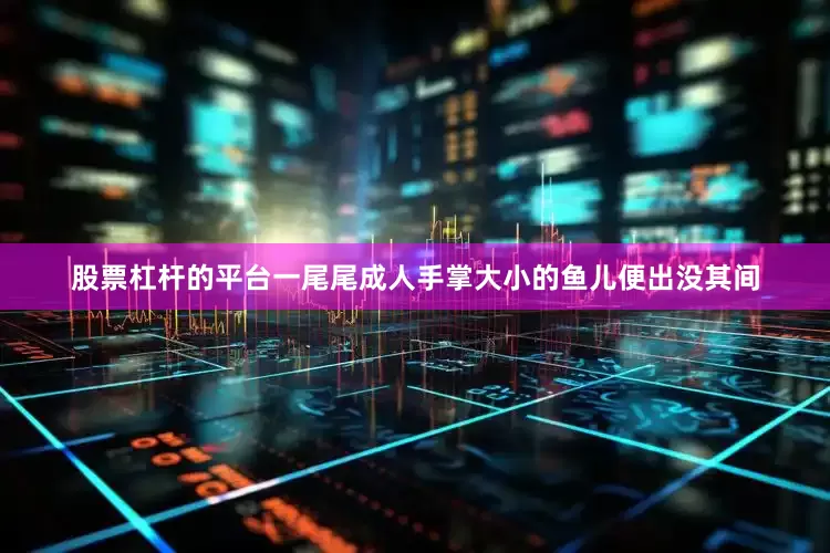 股票杠杆的平台一尾尾成人手掌大小的鱼儿便出没其间