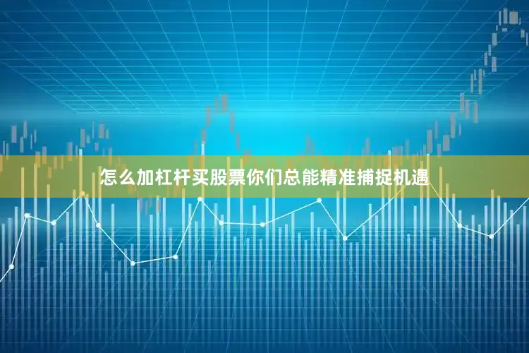 怎么加杠杆买股票你们总能精准捕捉机遇