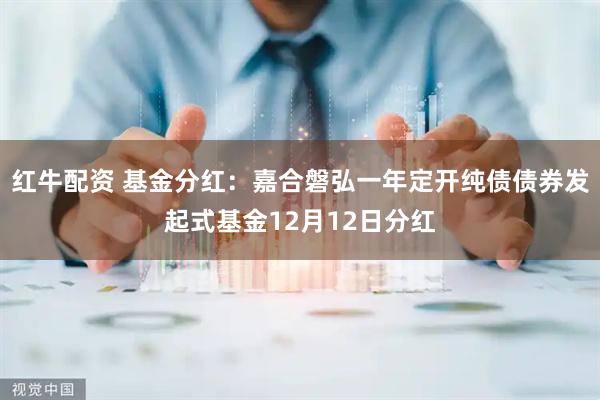 红牛配资 基金分红：嘉合磐弘一年定开纯债债券发起式基金12月12日分红